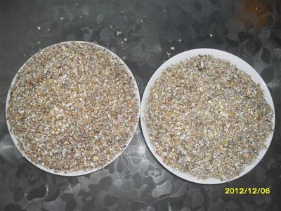 山東聊城玉米下腳料玉米篩漏碎粒價(jià)格分析與銷售指南