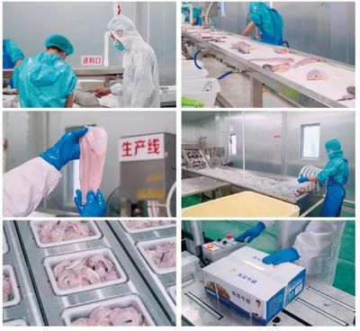 牛蛙飼料巨頭再啟新篇 年銷破10萬噸后，戰略布局原料銷售市場