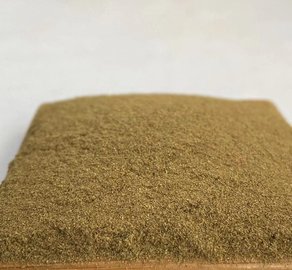 解密鵝產業供應鏈 供應商、價格動態與批發市場及飼料原料銷售全解析